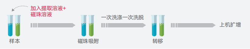 必赢网络游戏平台-(中国游)有限公司
