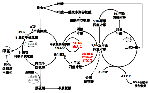 必赢网络游戏平台-(中国游)有限公司