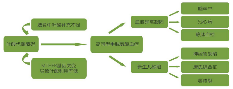 20200307235808425 必赢网络游戏平台-(中国游)有限公司