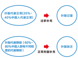 必赢网络游戏平台-(中国游)有限公司