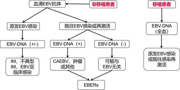 必赢网络游戏平台-(中国游)有限公司