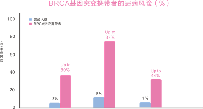 必赢网络游戏平台-(中国游)有限公司