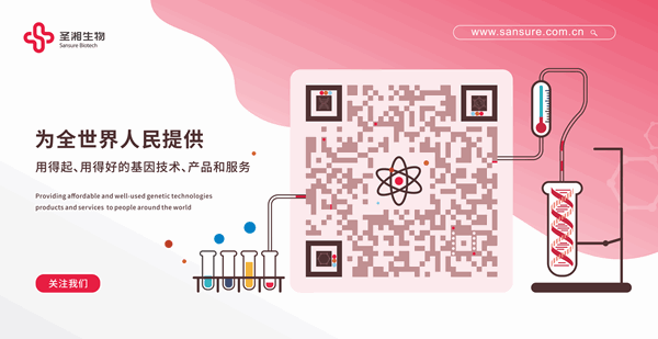 必赢网络游戏平台-(中国游)有限公司