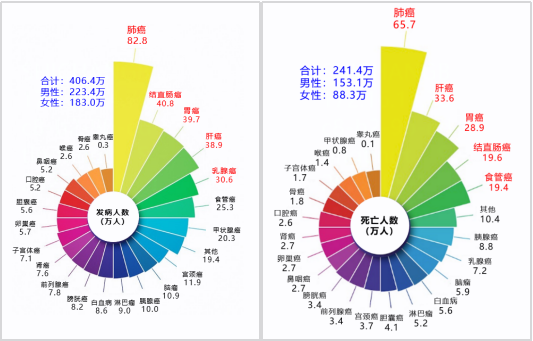 必赢网络游戏平台-(中国游)有限公司