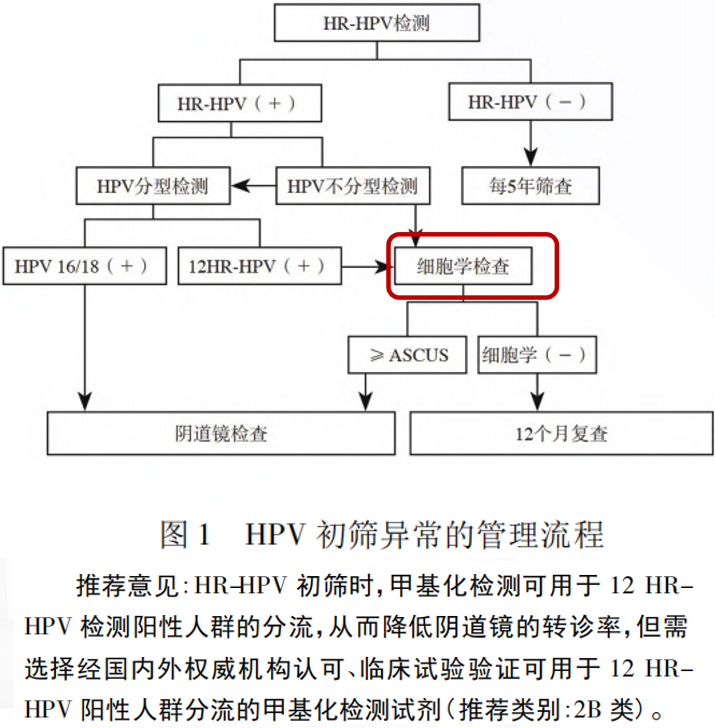 必赢网络游戏平台-(中国游)有限公司